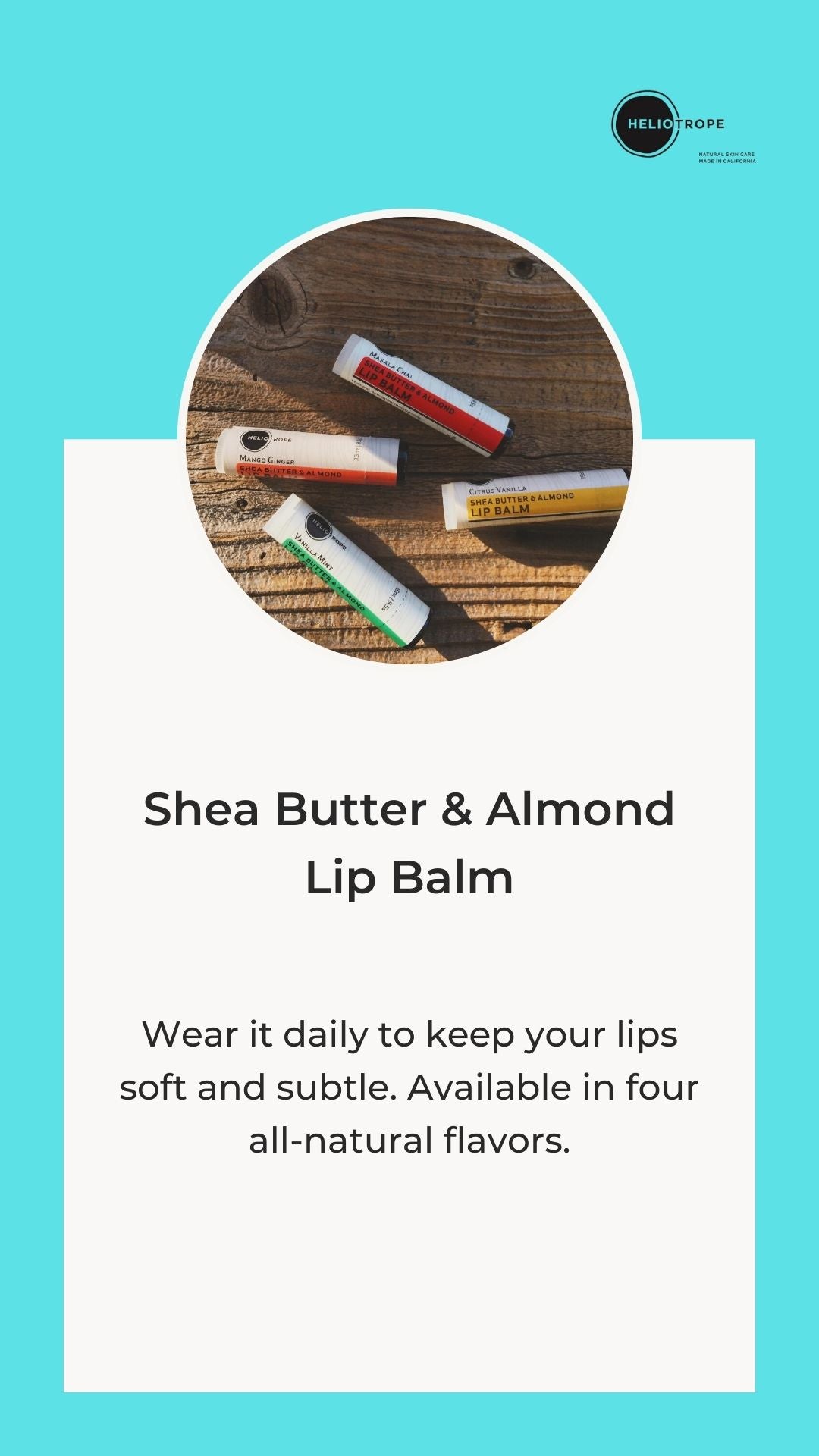 Shea Butter & Almond Lip Balm-1