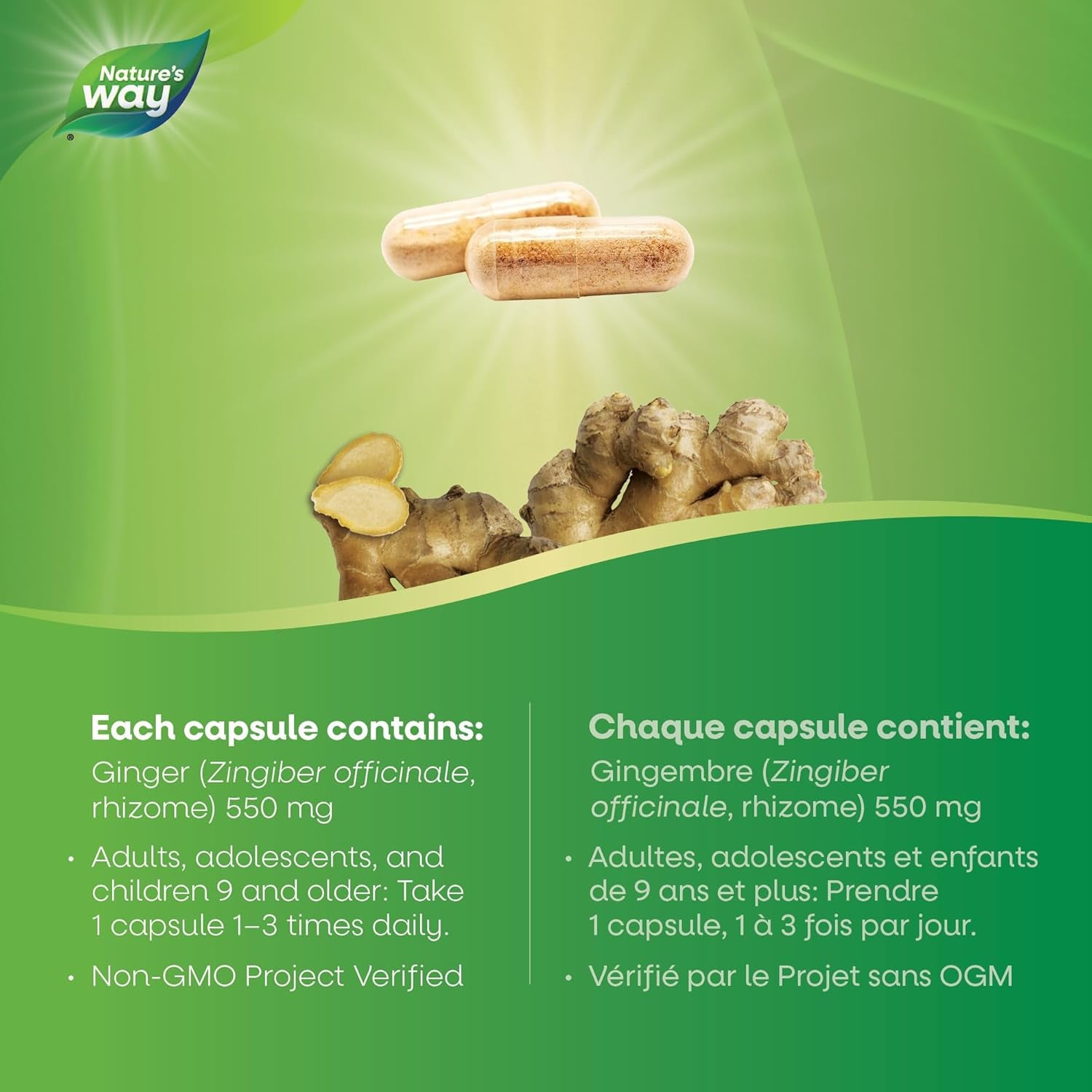 Ginger Root – Traditional Digestive Support Supplement – Helps Relieve Digestive Upset – Gluten Free, Vegetarian, Non-Gmo – 100 Capsules