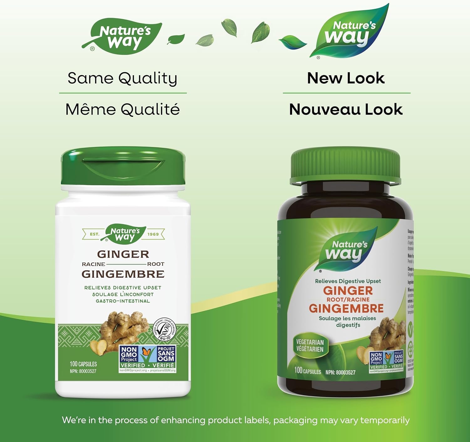 Ginger Root – Traditional Digestive Support Supplement – Helps Relieve Digestive Upset – Gluten Free, Vegetarian, Non-Gmo – 100 Capsules